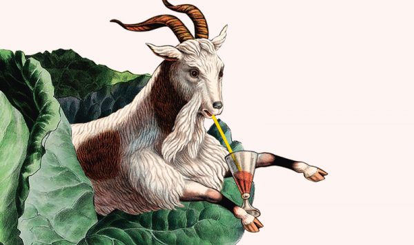 FP_bloggkategorier_800x600_podd_171213-600x356 - Brillbee